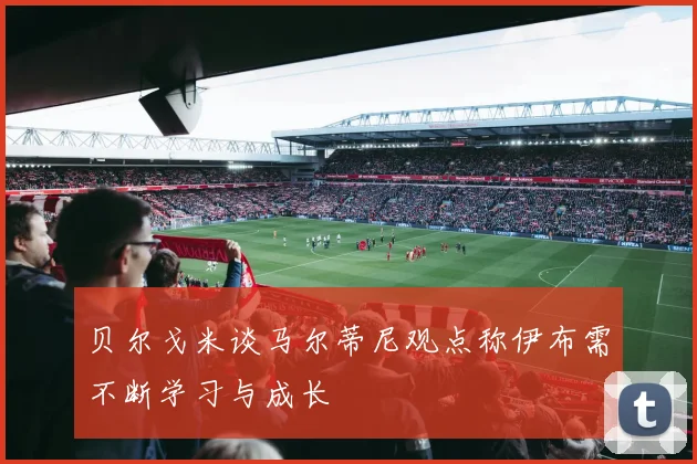 贝尔戈米谈马尔蒂尼观点称伊布需不断学习与成长